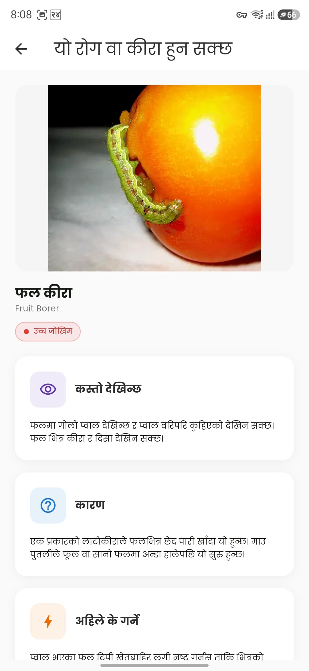 बाली विवरण — मौसम, माटो, रोप्ने-काट्ने समय